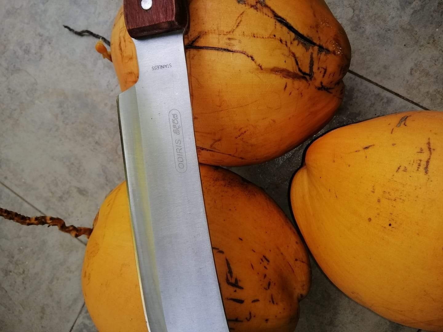 Odiris K5 fish knife with rubberwood handle and stainless steel blade Sri Lanka